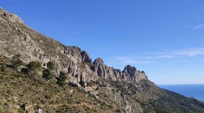 Alicante - Alicante - 5600m2
