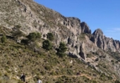 Non-developable land for sale on Alona, Alicante, ref: TR75209 photo