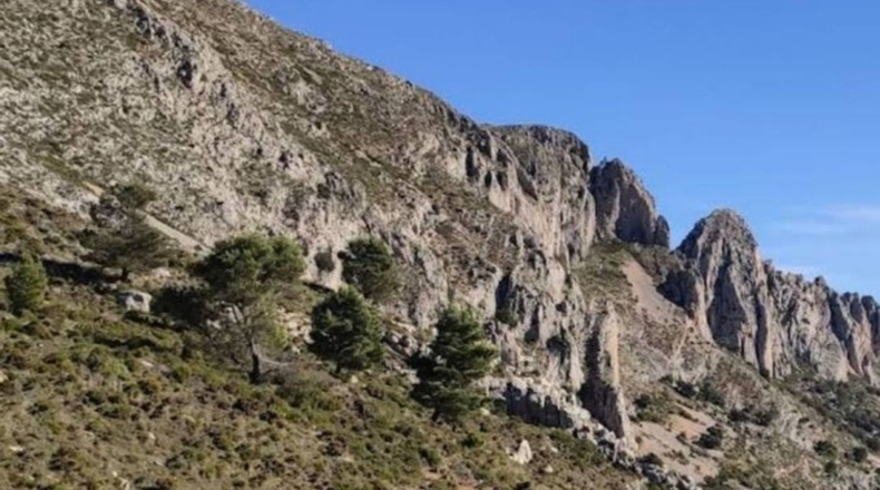 Alicante - Alicante - 5600m2