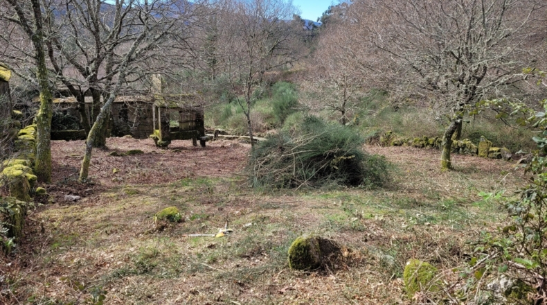 Pontevedra - O Casal - 2800m2