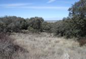 Land suitable for development for sale on Calle Toro, Urbanización Coto de San Isidro, ref: TR75236 photo