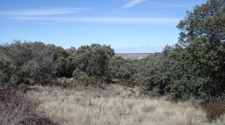 Segovia - Urbanización Coto de San Isidro - 8000m2