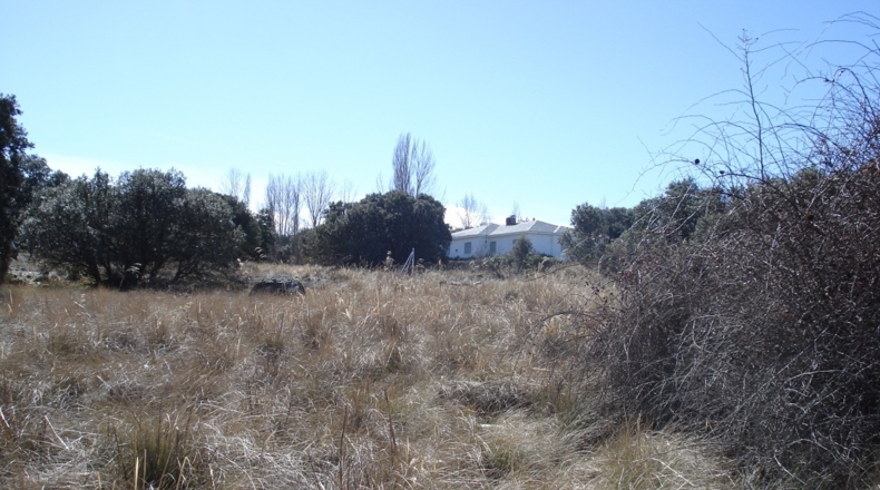 Segovia - Urbanización Coto de San Isidro - 8000m2