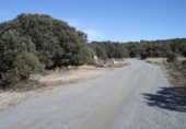 Land suitable for development for sale on Calle Toro, Urbanización Coto de San Isidro, ref: TR75236 photo