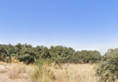 Land suitable for development for sale on Calle Toro, Urbanización Coto de San Isidro, ref: TR75236 photo