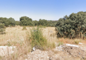 Land suitable for development for sale on Calle Toro, Urbanización Coto de San Isidro, ref: TR75236 photo