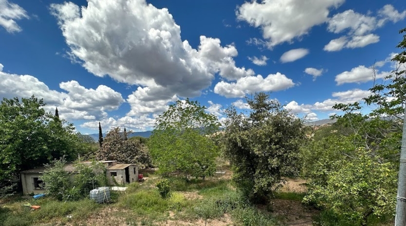 Tarragona - Valls - 8000m2