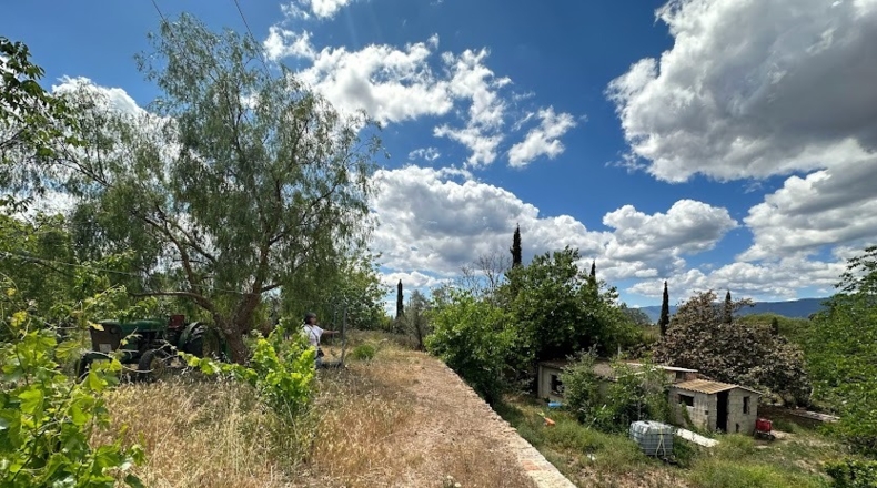 Tarragona - Valls - 8000m2