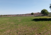 Non-developable land for sale on PARCELA 58 DEL POLIGONO 152, El Bonillo, ref: TR75239 photo