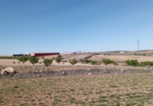 Non-developable land for sale on PARCELA 58 DEL POLIGONO 152, El Bonillo, ref: TR75239 photo