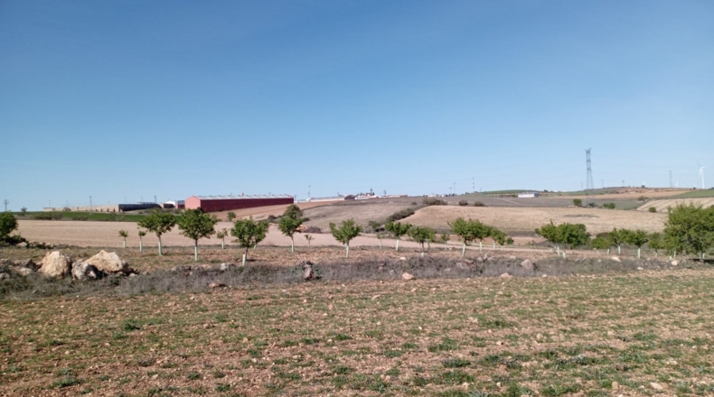 Albacete - El Bonillo - 5100m2