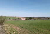 Non-developable land for sale on PARCELA 58 DEL POLIGONO 152, El Bonillo, ref: TR75239 photo