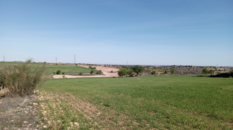 Albacete - El Bonillo - 5100m2