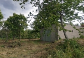 Дом с участком на продажу в городе O Curro Фото