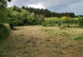 Дом с участком на продажу в городе O Curro Фото