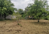 Дом с участком на продажу в городе O Curro Фото