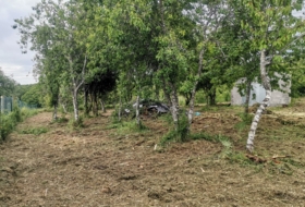 Foto 15