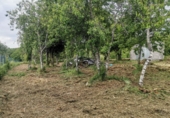 Дом с участком на продажу в городе O Curro Фото