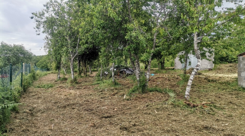Lugo - O Curro - 1500m2