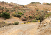 Non-developable land for sale on Polígono 13 Parcela 103 AYO DEL PLATERO. CARTAMA (MÁLAGA), Cártama, ref: TR75251 photo
