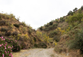 Non-developable land for sale on Polígono 13 Parcela 103 AYO DEL PLATERO. CARTAMA (MÁLAGA), Cártama, ref: TR75251 photo