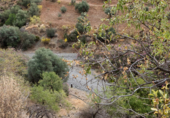Non-developable land for sale on Polígono 13 Parcela 103 AYO DEL PLATERO. CARTAMA (MÁLAGA), Cártama, ref: TR75251 photo