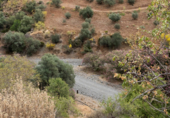 Non-developable land for sale on Polígono 13 Parcela 103 AYO DEL PLATERO. CARTAMA (MÁLAGA), Cártama, ref: TR75251 photo