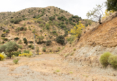 Non-developable land for sale on Polígono 13 Parcela 103 AYO DEL PLATERO. CARTAMA (MÁLAGA), Cártama, ref: TR75251 photo