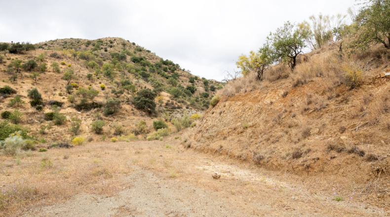 Málaga - Cártama - 90498m2