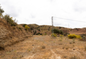 Non-developable land for sale on Polígono 13 Parcela 103 AYO DEL PLATERO. CARTAMA (MÁLAGA), Cártama, ref: TR75251 photo