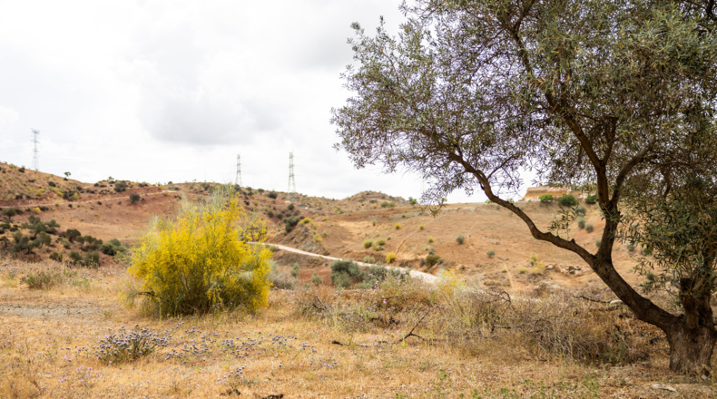 Málaga - Cártama - 90498m2