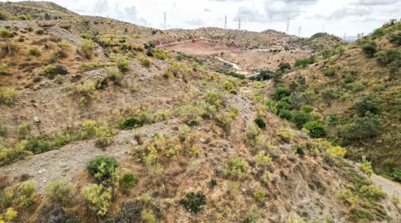 Málaga - Cártama - 90498m2