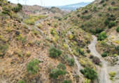 Non-developable land for sale on Polígono 13 Parcela 103 AYO DEL PLATERO. CARTAMA (MÁLAGA), Cártama, ref: TR75251 photo