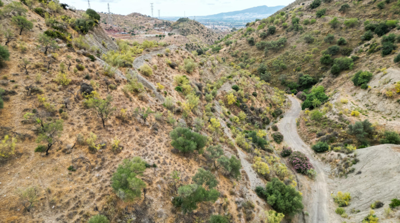 Málaga - Cártama - 90498m2