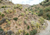 Non-developable land for sale on Polígono 13 Parcela 103 AYO DEL PLATERO. CARTAMA (MÁLAGA), Cártama, ref: TR75251 photo