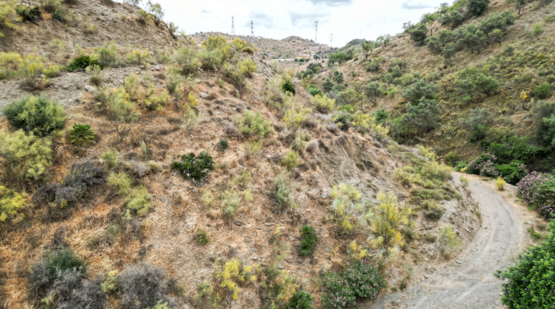 Málaga - Cártama - 90498m2