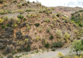 Non-developable land for sale on Polígono 13 Parcela 103 AYO DEL PLATERO. CARTAMA (MÁLAGA), Cártama, ref: TR75251 photo