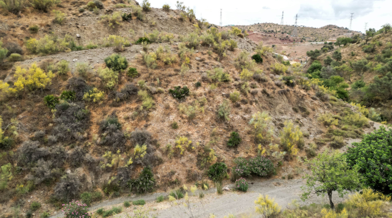 Málaga - Cártama - 90498m2