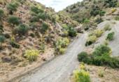 Non-developable land for sale on Polígono 13 Parcela 103 AYO DEL PLATERO. CARTAMA (MÁLAGA), Cártama, ref: TR75251 photo