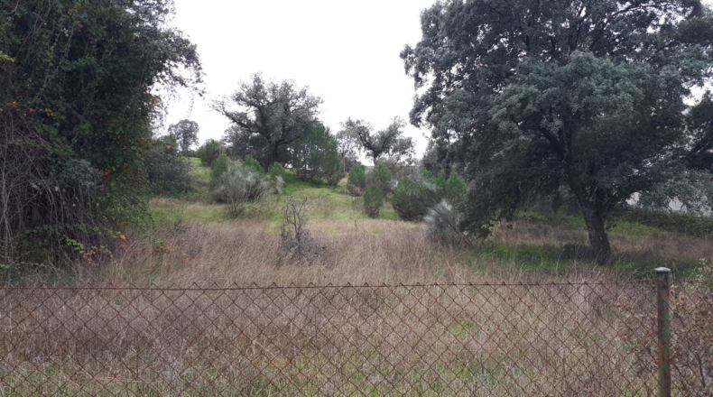 Toledo - Cardiel de los Montes - 1350m2