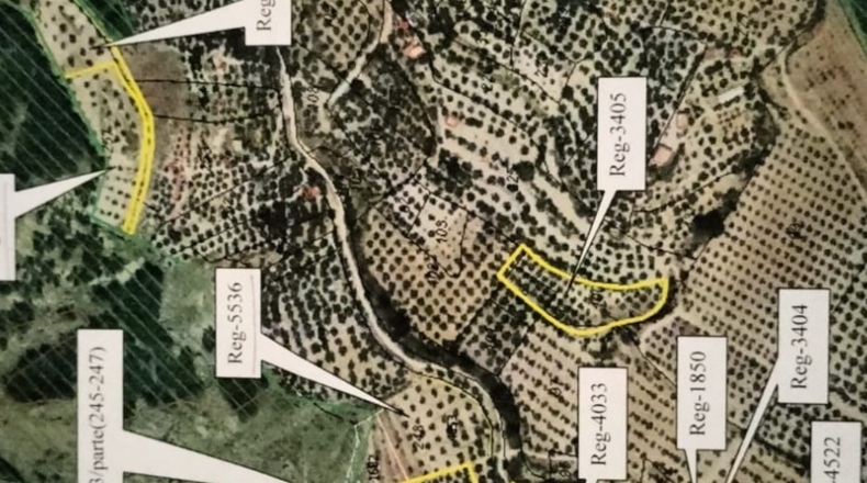 Jaén - Huesa - 78000m2