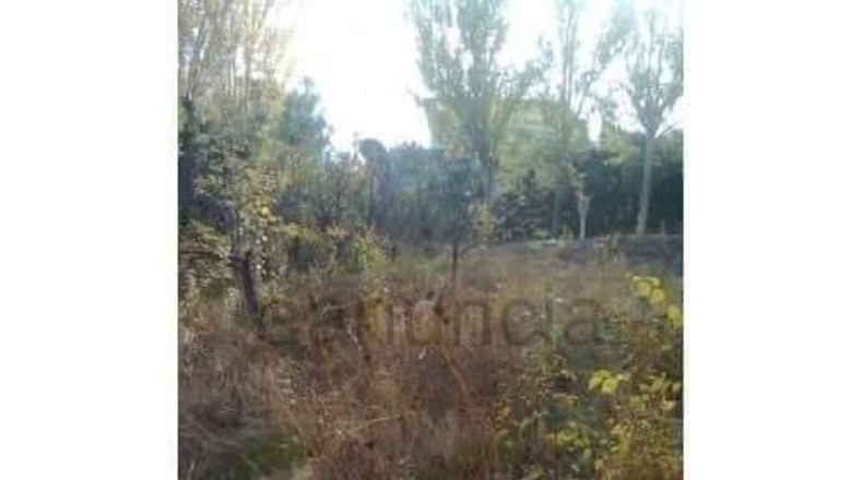 Granada - Alfacar - 750m2