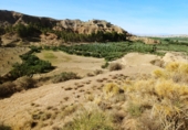 Terreno no urbanizable en venta en la GR-4105, Beas de Guadix, ref: TR76627 foto