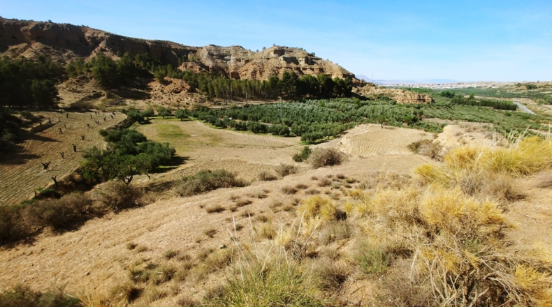 Granada - Beas de Guadix - 16000m2