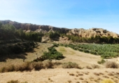 Terreno no urbanizable en venta en la GR-4105, Beas de Guadix, ref: TR76627 foto