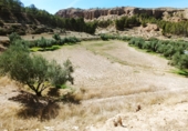 Terreno no urbanizable en venta en la GR-4105, Beas de Guadix, ref: TR76627 foto