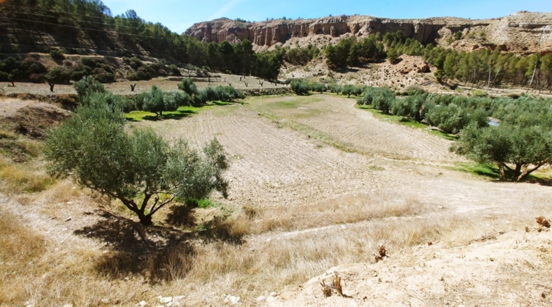 Granada - Beas de Guadix - 16000m2