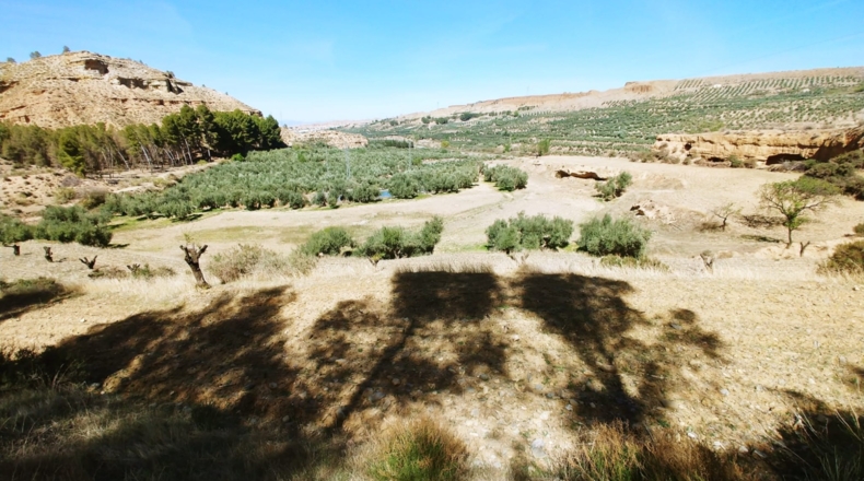 Granada - Beas de Guadix - 16000m2