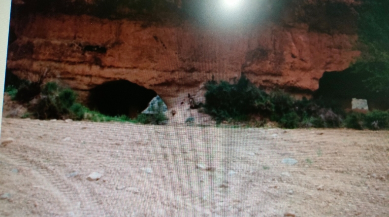 Granada - Beas de Guadix - 16000m2
