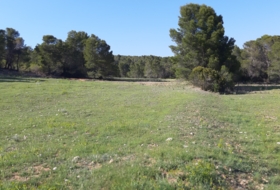 Lorca 20000&nbsp;m²